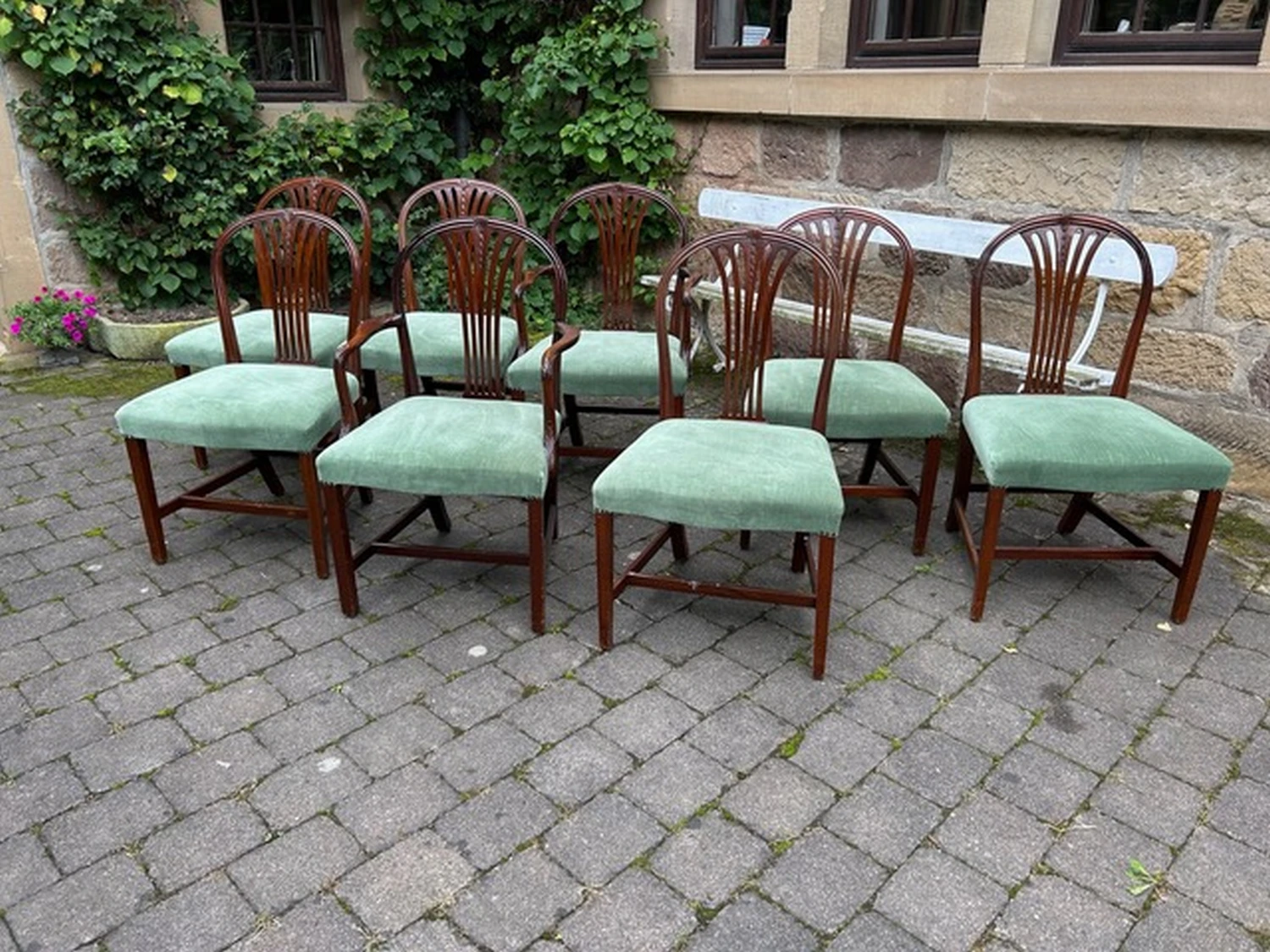 8 Hepplewhite Stühle von Antik Cleversulzbach